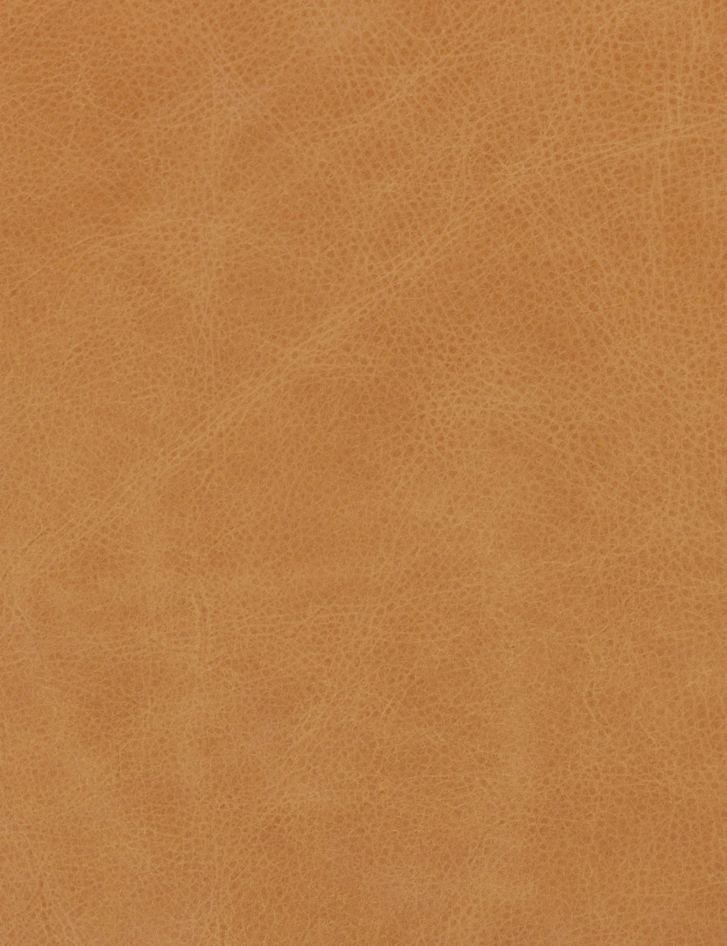 106074-014_DET_4-1.jpg Lulu And Georgia Curved + Rounded Aldora Stool