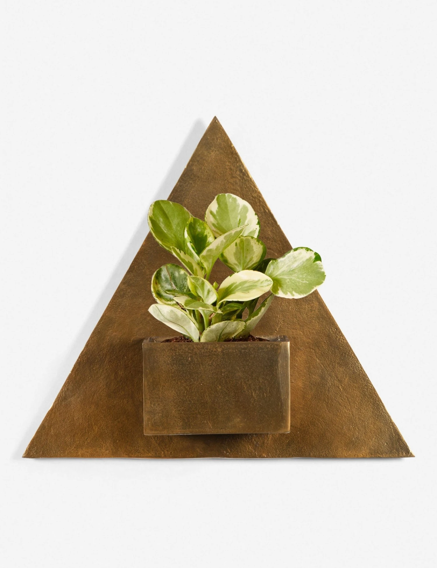 108978-001_grp_1.jpg Lulu And Georgia Larayne Triangle Wall Planter Outdoor Collection