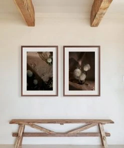 Lulu And Georgia Earth Tones 'Still Life 21' Photography Print By Ashley Johnson