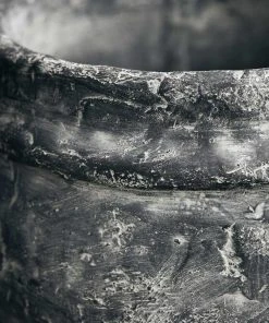 Lulu And Georgia Roni Planter New