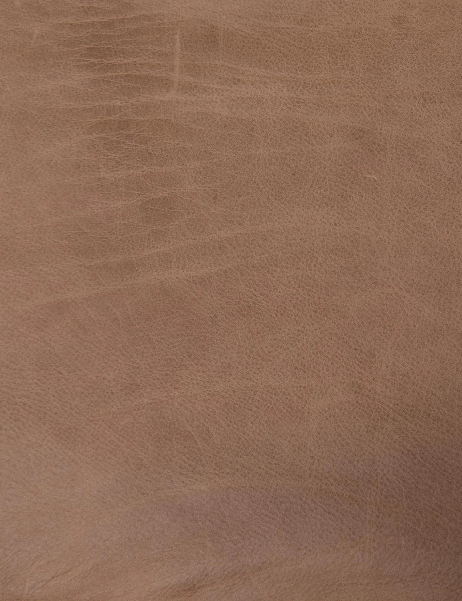 222702-012_det_2-1.jpg Lulu And Georgia Sela Leather Accent Chair Living Room