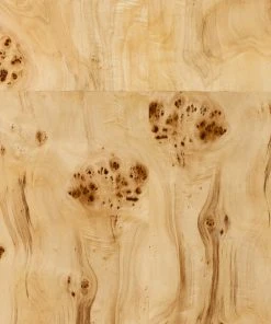 Lulu And Georgia New Lorca Burl Wood Desk