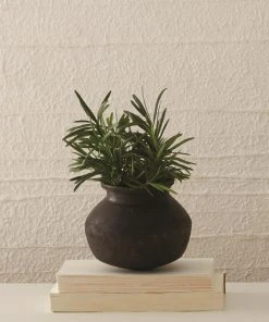 Lulu And Georgia Benji Pot Spring Collection