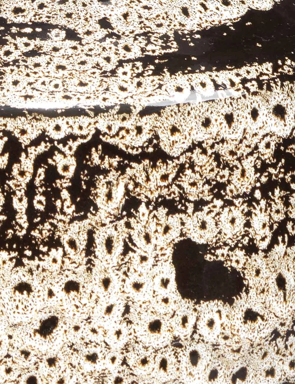 7JONE-VABEBK_CLOSE_UP.jpg Lulu And Georgia Phillipe Vase New