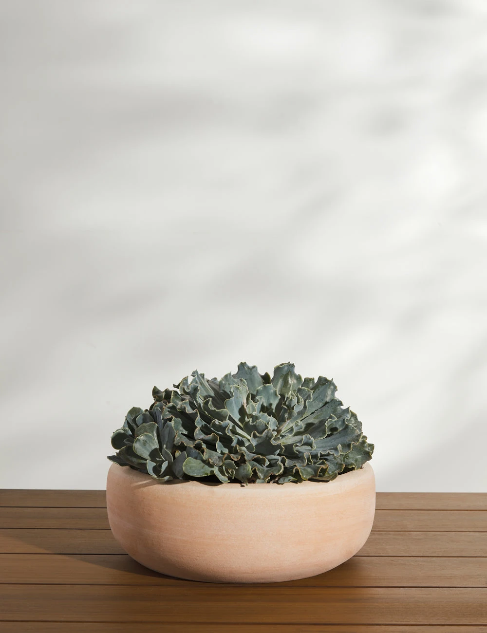 AnnalisePlanter_Setof2__10916.jpg Lulu And Georgia New Annalise Planter (Set Of 2) By Campania International