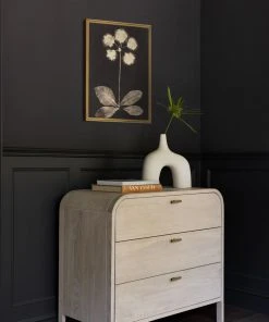 Lulu And Georgia 'Botanical Photogram' Print Walls