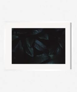 Lulu And Georgia Walls 'Still Life 3' Photography Print By Ashley Johnson