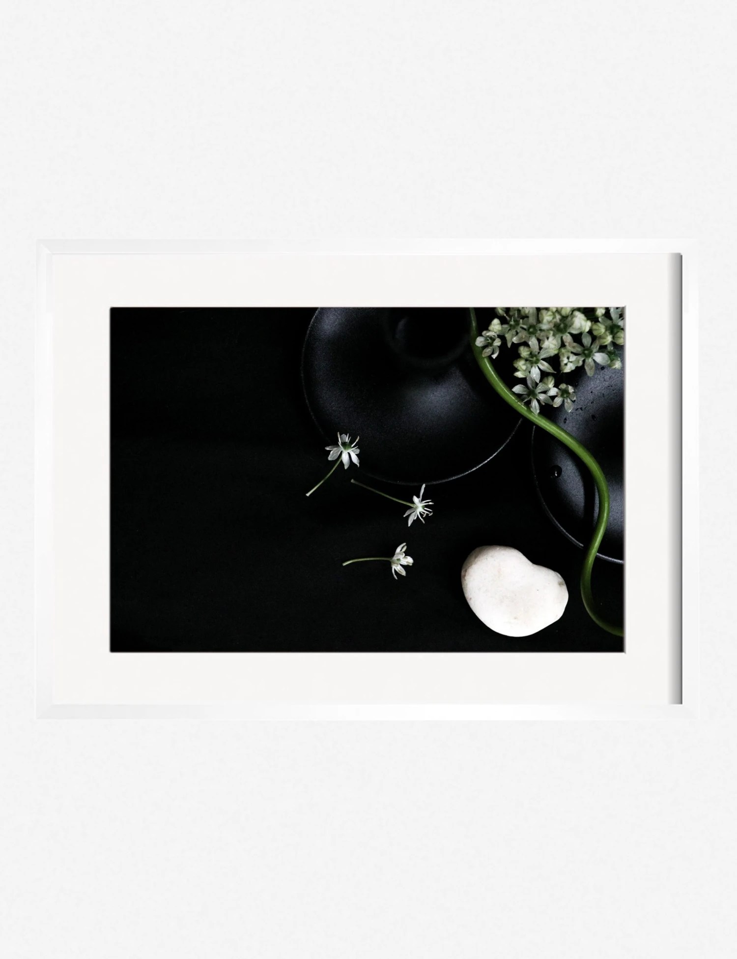 Lulu And Georgia 'Still Life 5' Photography Print By Ashley Johnson 5 Lulu And Georgia 'Still Life 5' Photography Print By Ashley Johnson