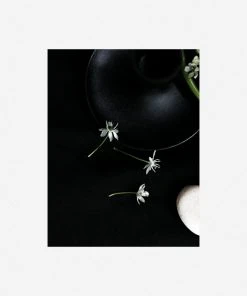 Lulu And Georgia 'Still Life 5' Photography Print By Ashley Johnson 12 Lulu And Georgia 'Still Life 5' Photography Print By Ashley Johnson