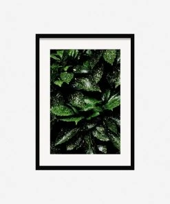 Lulu And Georgia Mossy Greens 'Still Life 7' Photography Print By Ashley Johnson