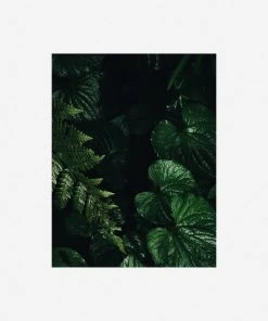 Lulu And Georgia 'Still Life 14' Photography Print By Ashley Johnson Mossy Greens