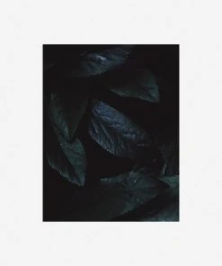 Lulu And Georgia Walls 'Still Life 3' Photography Print By Ashley Johnson