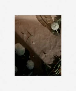 Lulu And Georgia 'Still Life 1' Photography Print By Ashley Johnson