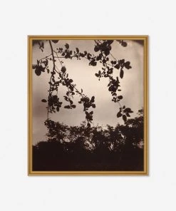 Lulu And Georgia Earth Tones'Branche De Pommier' Print By Eugène Atget