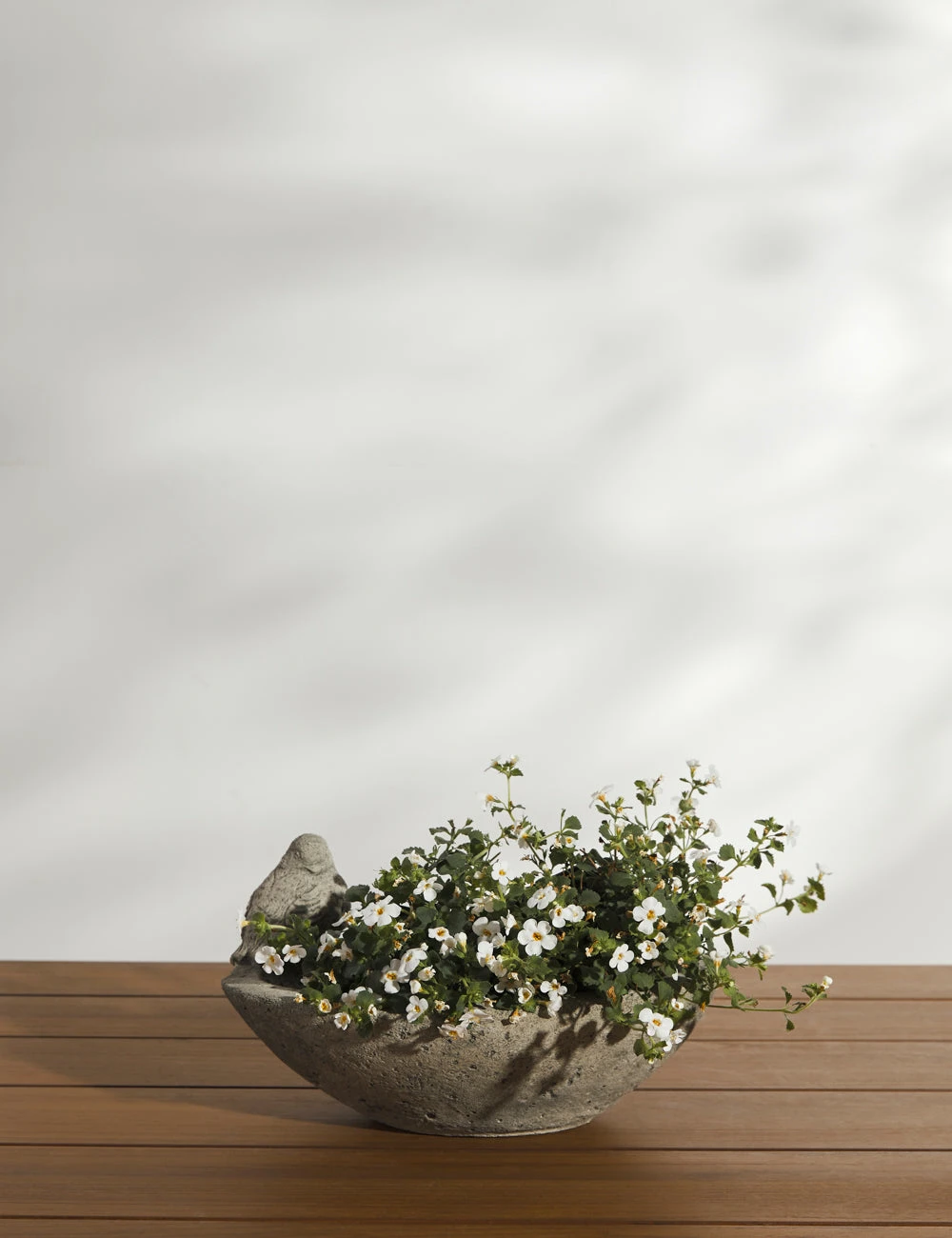 AurielleCastStoneTabletopPlanterbyCampaniaInternational_10940.jpg Lulu And Georgia New Cast Stone Tabletop Planter By Campania International