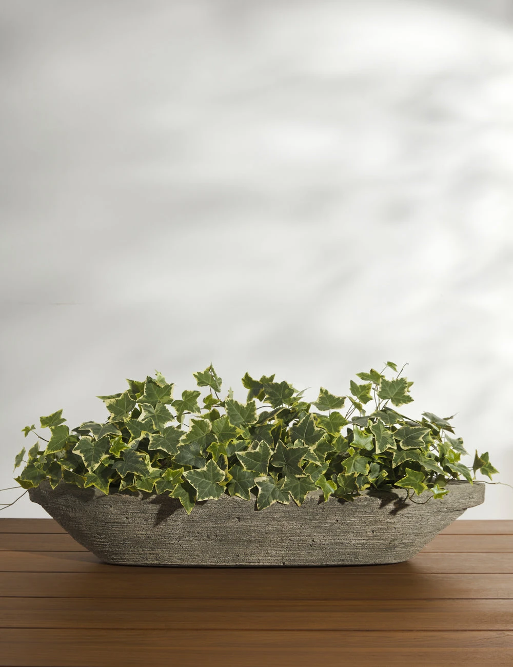 BarcaCastStoneTabletopPlanterbyCampaniaInternational_1761.jpg Lulu And Georgia New Cast Stone Tabletop Planter By Campania International