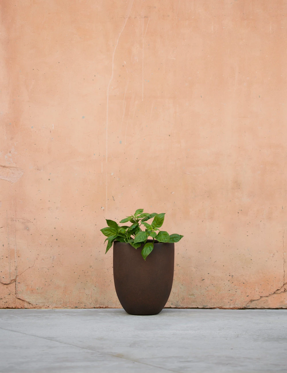 BradfordPlanter_ExtraSmall_RustbyCampaniaInternational_1707.jpg Lulu And Georgia Bradford Planter By Campania International New