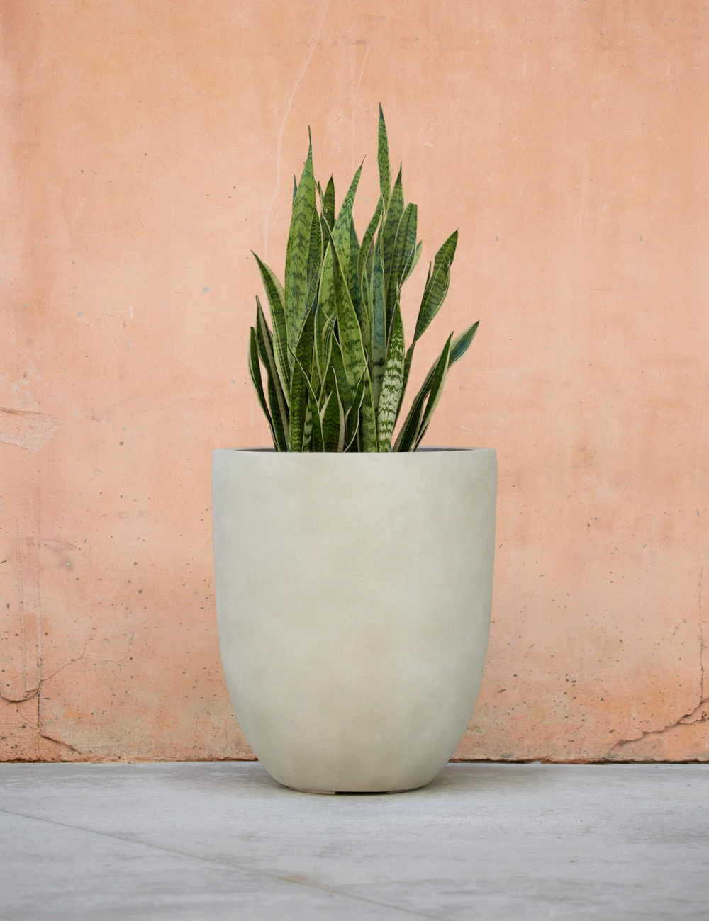 BradfordPlanter_Medium_IvorybyCampaniaInternational_1697.jpg Lulu And Georgia Bradford Planter By Campania International New