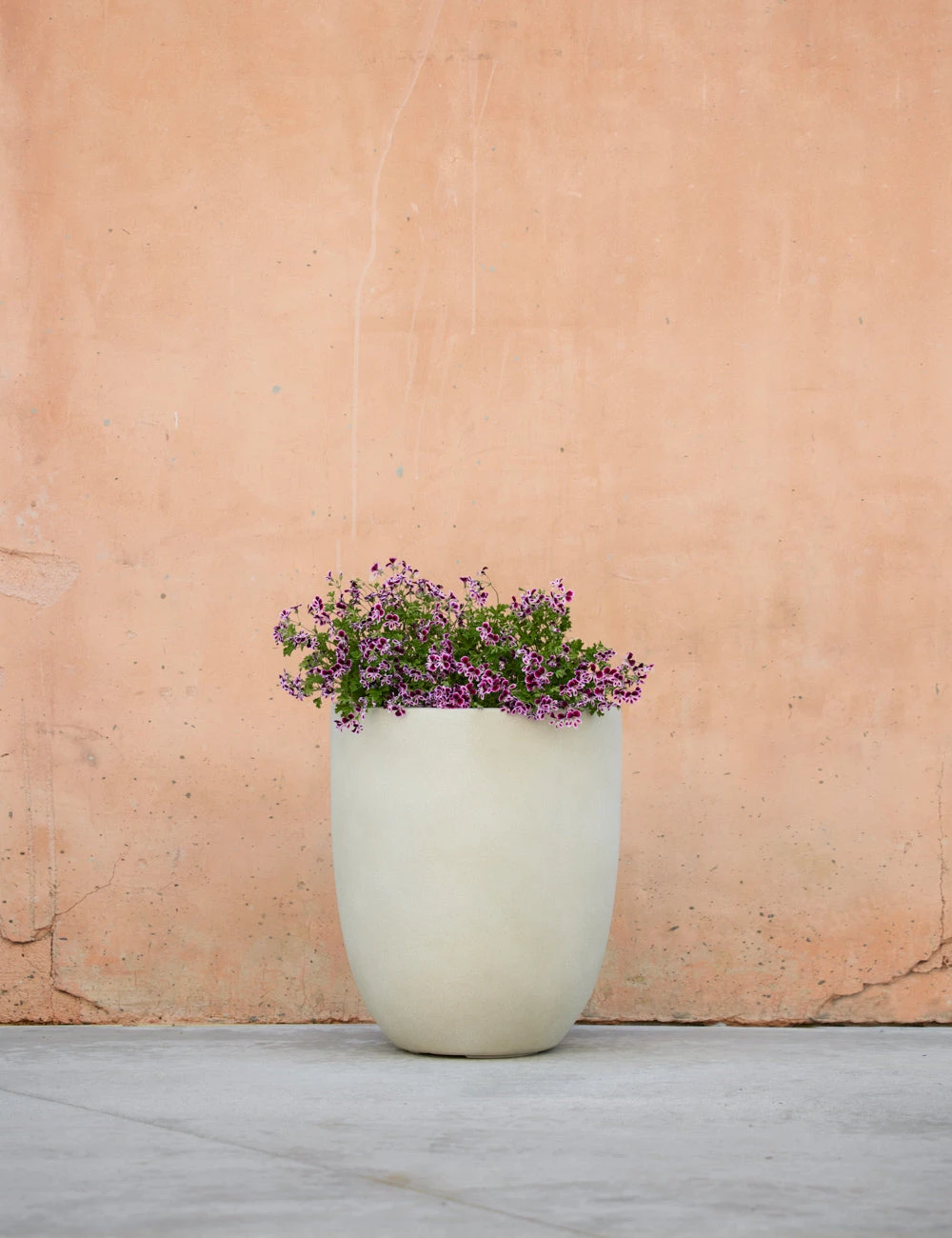 BradfordPlanter_Small_IvorybyCampaniaInternational_1701.jpg Lulu And Georgia Bradford Planter By Campania International New