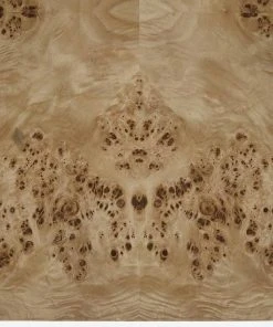 Lulu And Georgia Brisa Burl Wood Coffee Table 9 Lulu And Georgia Brisa Burl Wood Coffee Table