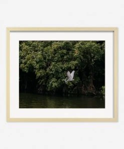 Lulu And Georgia Mossy Greens 'Lake Nicaragua' Photography Print By Carley Rudd