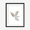 Lulu And Georgia Muted Pastels 'Faded Leaves' Print By Céline Nordenhed