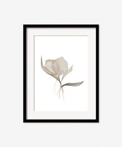 Lulu And Georgia Earth Tones 'Pale Bouquet' Print By Céline Nordenhed