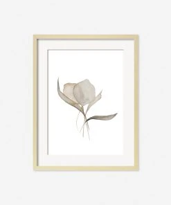 Lulu And Georgia Earth Tones 'Pale Bouquet' Print By Céline Nordenhed