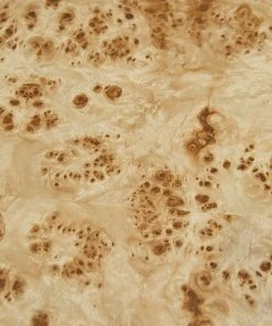 Lulu And Georgia New Chloe Burl Wood Console Table