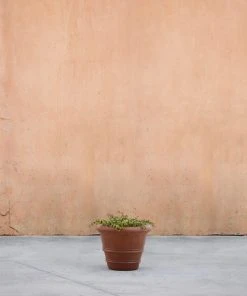 Lulu And Georgia Classic Rolled Rim Planter By Campania International 3 Lulu And Georgia Classic Rolled Rim Planter By Campania International