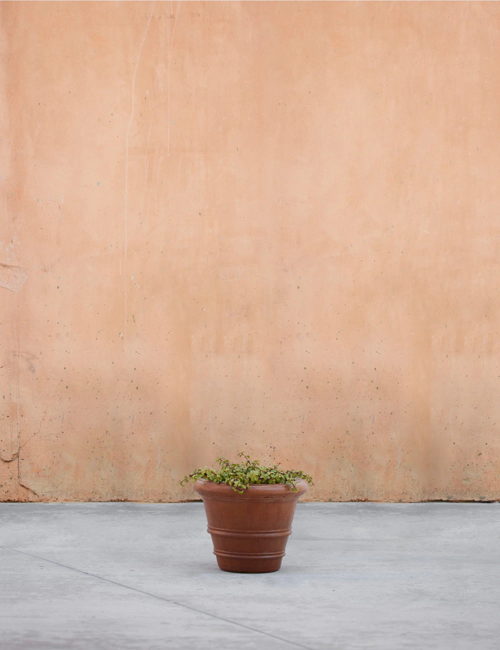 ClassicRolledRimPlanter_11.5_byCampaniaInternational-00002.jpg Lulu And Georgia Classic Rolled Rim Planter By Campania International