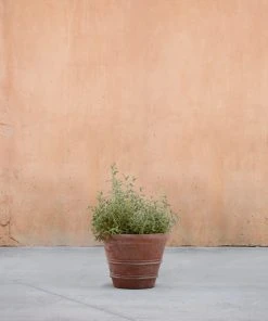 Lulu And Georgia Classic Rolled Rim Planter By Campania International 2 Lulu And Georgia Classic Rolled Rim Planter By Campania International