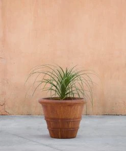 Lulu And Georgia Classic Rolled Rim Planter By Campania International