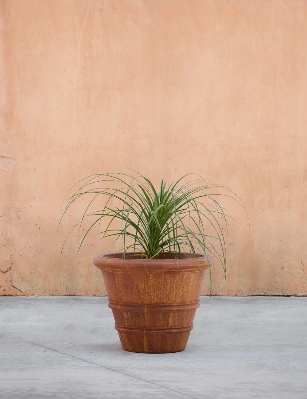 ClassicRolledRimPlanter_20.75_byCampaniaInternational-00008.jpg Lulu And Georgia Classic Rolled Rim Planter By Campania International