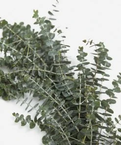 Lulu And Georgia Fresh Handmade Baby Blue Eucalyptus Garland