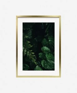 Lulu And Georgia 'Still Life 14' Photography Print By Ashley Johnson Mossy Greens