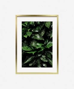 Lulu And Georgia Mossy Greens 'Still Life 7' Photography Print By Ashley Johnson
