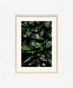Lulu And Georgia Mossy Greens 'Still Life 7' Photography Print By Ashley Johnson