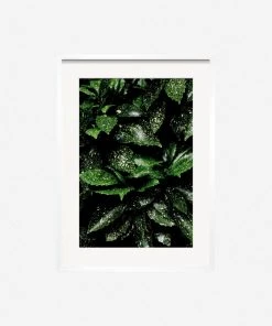 Lulu And Georgia Mossy Greens 'Still Life 7' Photography Print By Ashley Johnson