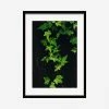 Lulu And Georgia Mossy Greens 'Still Life 15' Photography Print By Ashley Johnson