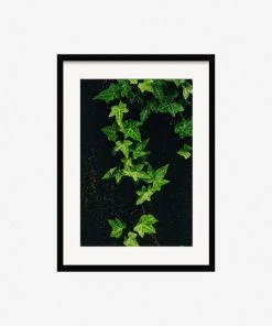 Lulu And Georgia Mossy Greens 'Still Life 15' Photography Print By Ashley Johnson