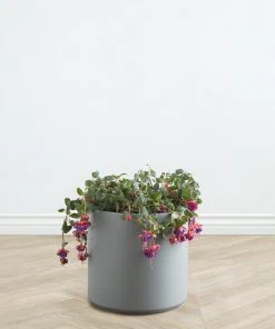 Lulu And Georgia LBE Design Ceramic Planter Décor