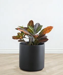 Lulu And Georgia LBE Design Ceramic Planter Décor