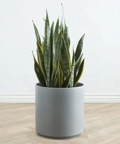 Lulu And Georgia LBE Design Ceramic Planter Décor