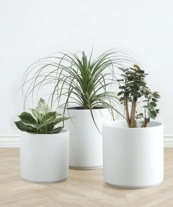 Lulu And Georgia LBE Design Ceramic Planter Décor