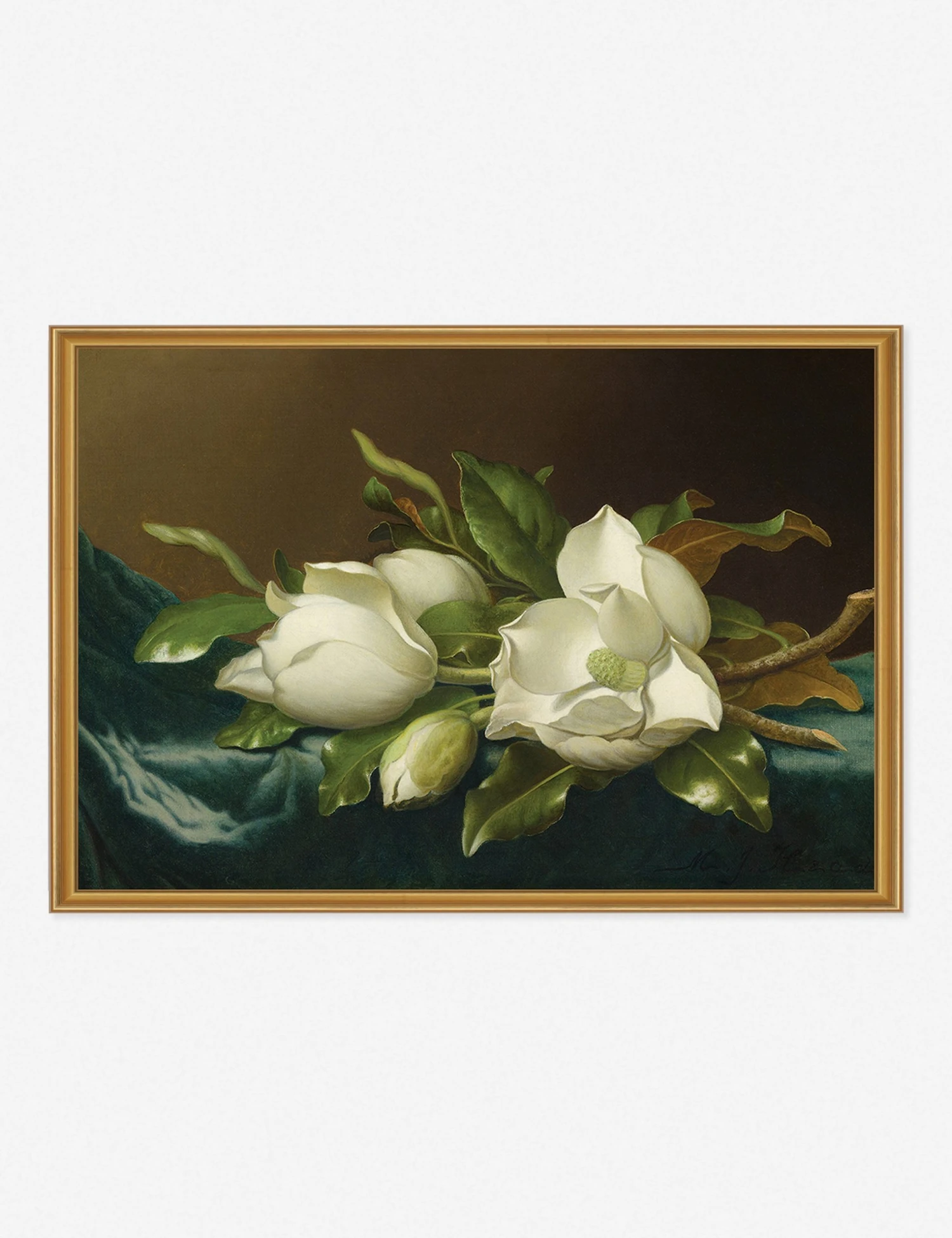 MagnoliasLightblueVelvetGoldFrame.jpg Lulu And Georgia 'Magnolias On Light Blue Velvet Cloth' Print By Martin Johnson Heade Walls