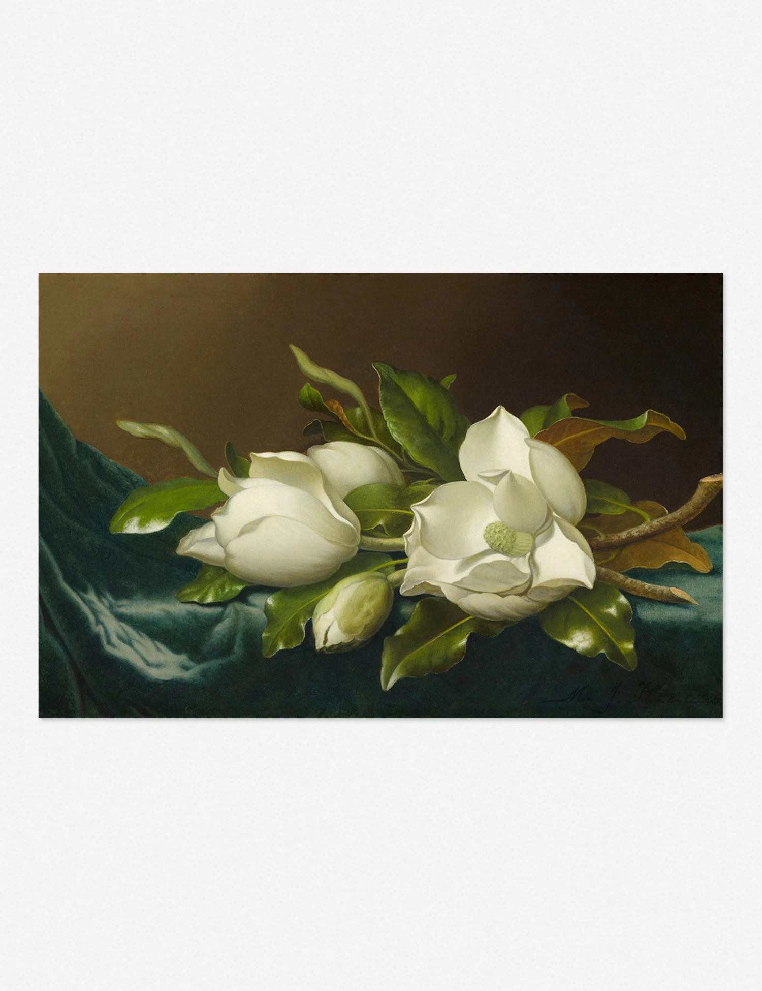 Magnolias_Light_Blue_Velvet_Unframed_1.jpg Lulu And Georgia 'Magnolias On Light Blue Velvet Cloth' Print By Martin Johnson Heade Walls