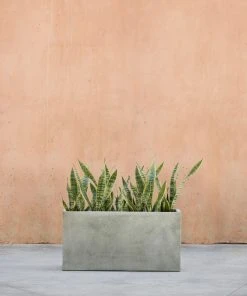 Lulu And Georgia New Metro Box Planter By Campania International