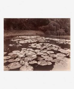 Lulu And Georgia 'Nymphéas (Bagatelle)' Print By Eugène Atget Earth Tones