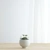 Lulu And Georgia Sutton Self-Watering Planter By Greenery Unlimited